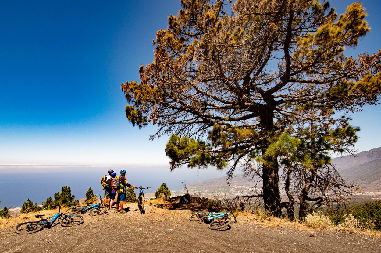 La Palma See it. EMTB it. Love it. ⋆ EbikeSpass