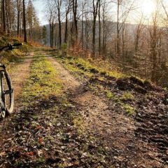 Fahrradtouren in Zeiten von Corona – Die Natur genießen