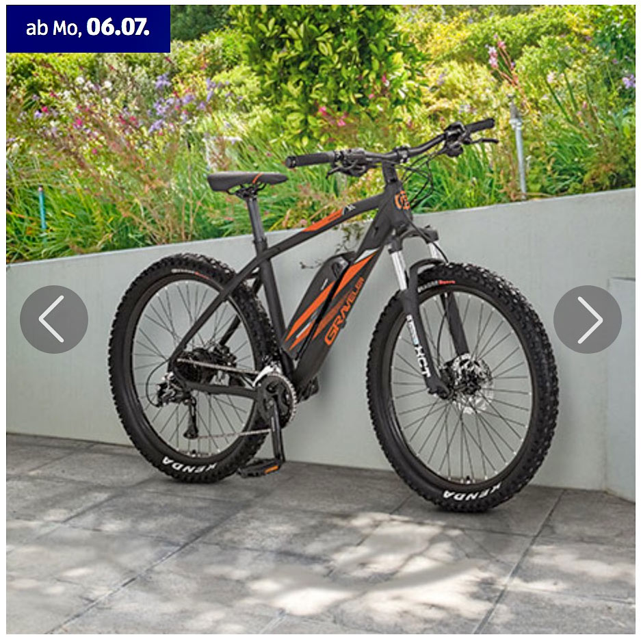 E-MTB Angebot Prophete Graveler bei Aldi