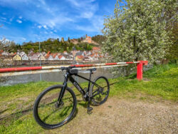 Econic One E-Bike am Neckar